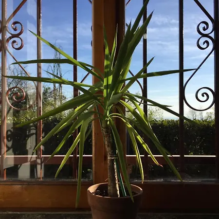 Appartamento Villa Pecetto *